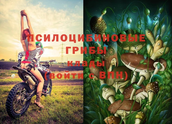 таблы Бронницы
