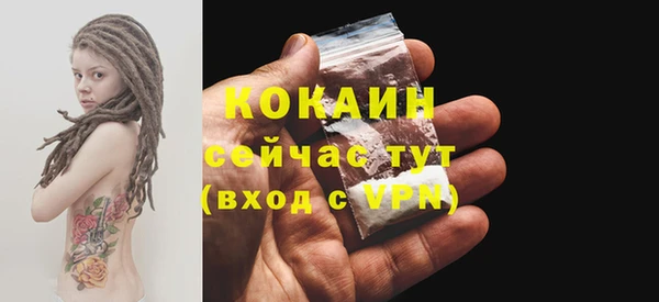 марки lsd Бородино
