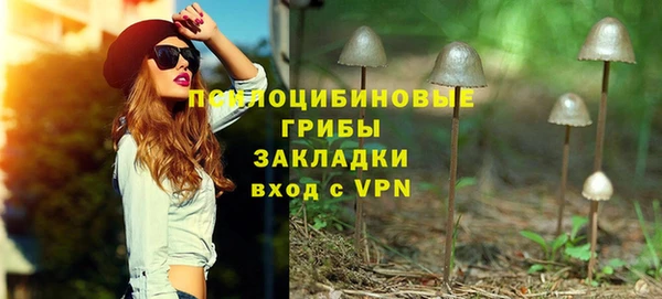 гидра Бугульма