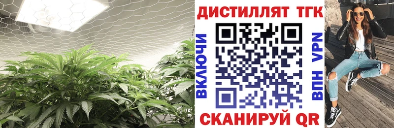 ТГК концентрат  Новороссийск 